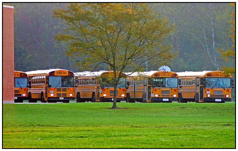 buses at school