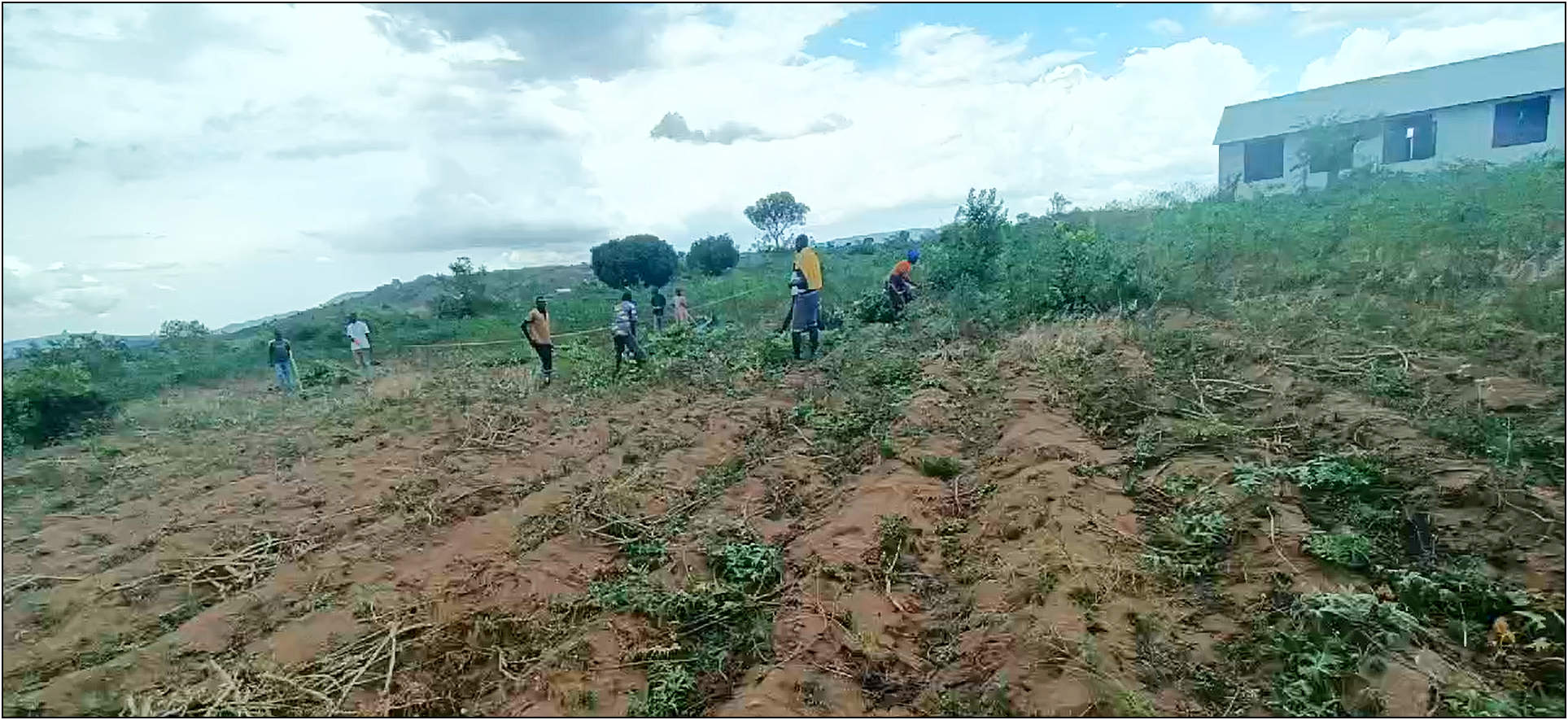 clearing and measuring the site