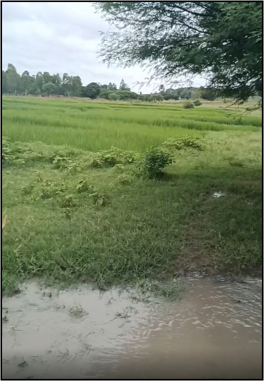 flooding in Tanzania