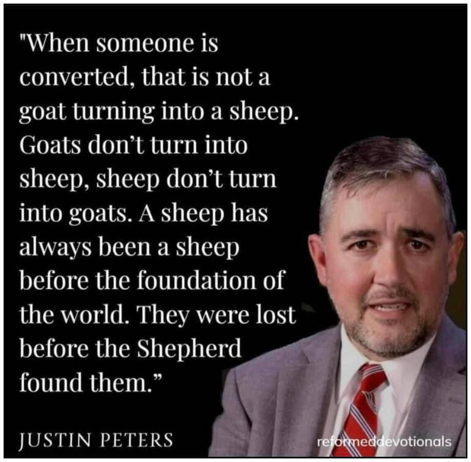 goats don't turn into sheep
