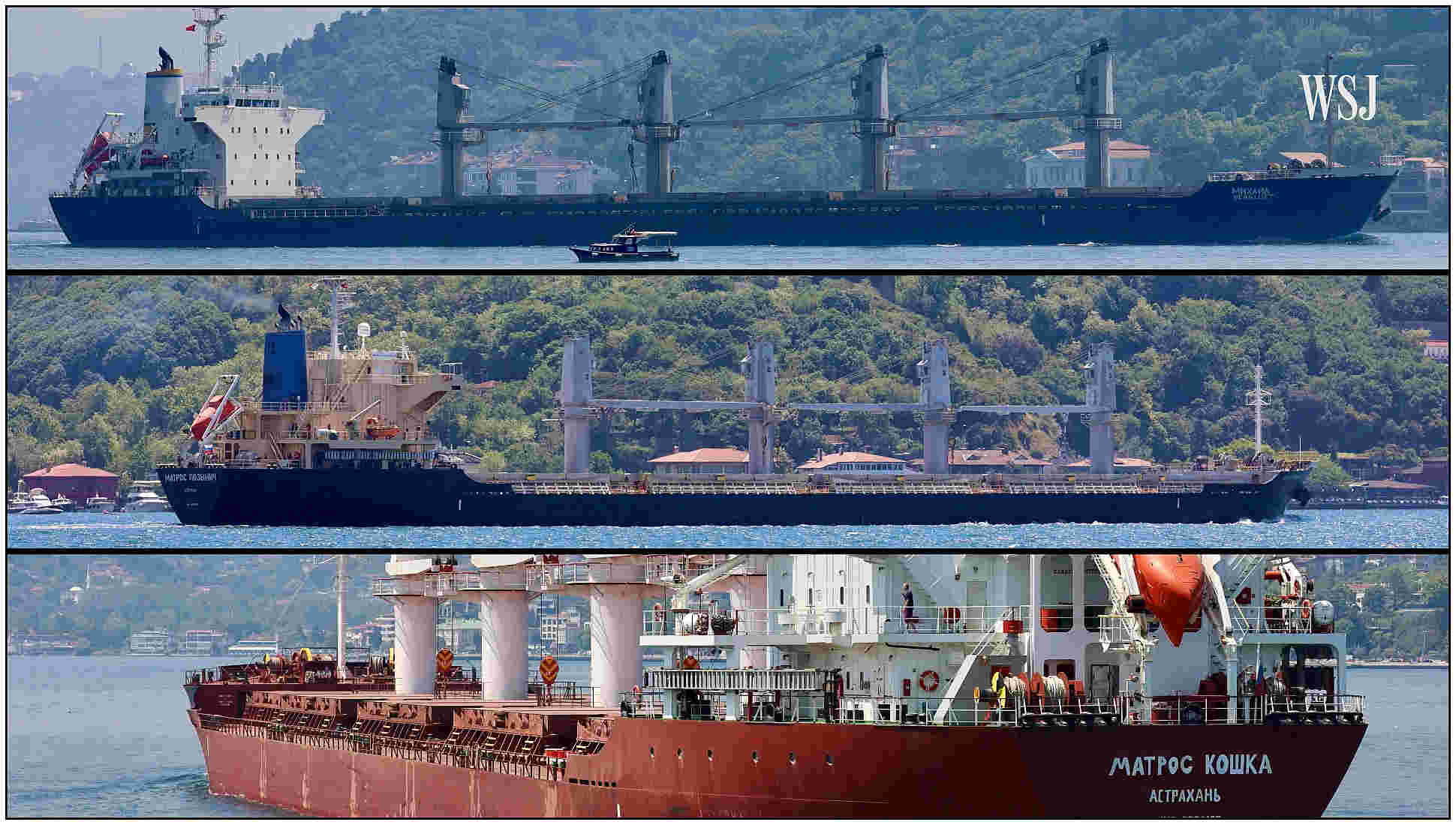 three ships carrying stolen Ukrainian grain