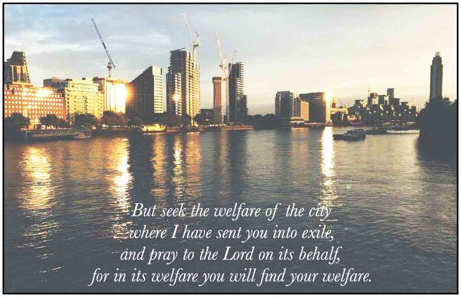 Seek the Welfare of the City
